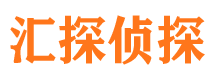 共青城侦探